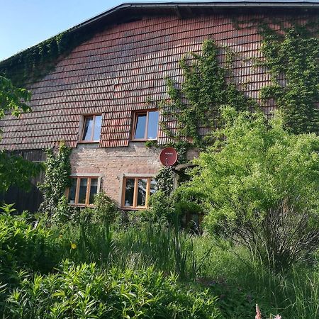 Ferien In Der Scheune Dettmannsdorf Luaran gambar